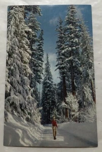 Winter Wonderland In The Cascades, Washington. Cartolina (T2) - Foto 1 di 2