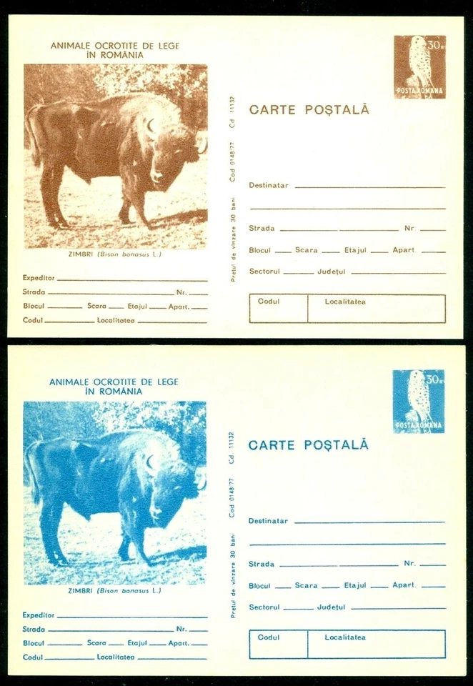 1977 European Bison/Wisent,Bison bonasus,European Nature Protection,Romania,card - Image 1 of 1