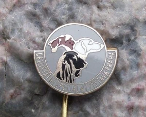 Vintage All State Specialist Dog Breeders Show Czechoslovakia Pin Badge - Picture 1 of 2