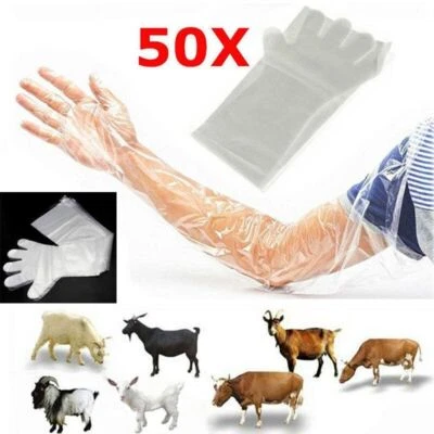 50Pcs Clear Long Arm Glove Disposable Farm Glove Disposable Vet Glove  Midwifery - image 1 of 4