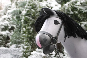 Cheval de loisir "Ivy" cheval à cheval de bataille cheval de loisir - Photo 1 sur 4