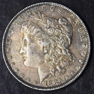 1886-P Toned "High Grade" Morgan Silver Dollar $1 - COINGIANTS - - Picture 1 of 2