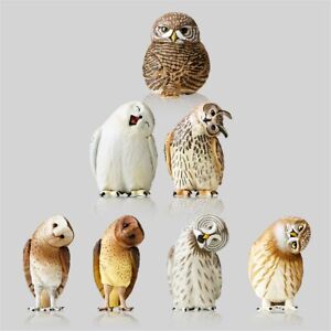 Owls Model Wild Animal Snowy Owl Strigiformes Figure Collector Decor Kids Gift