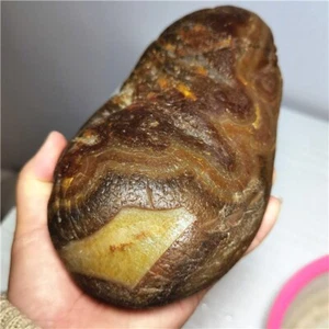 1915g Bonsai Suiseki - natürlicher Gobi Achat Augen Stein - seltene atemberaubende Aussicht L711 - Bild 1 von 12
