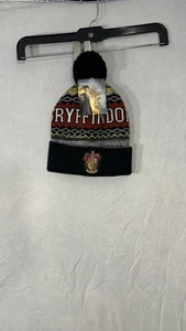 Harry Potter Beanie Winter Hat Gryffindor Slytherin Hufflepuff Ravenclaw Student - Picture 1 of 7