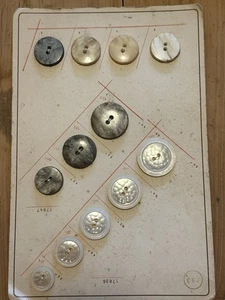 Antique Button Sample Salesman Card Hugo Dahm Horn Buttons 1940’s Kaufbeuren - Picture 1 of 5