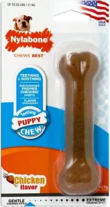 Nylabone Durable Regular pack Chicken Flavor for dogs up to 25 lbs 1 Pack Bone - Picture 1 of 1