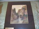 Antique Hand Tinted Steel Plate Engraving Hartz Mtns.