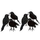 6er-Set Schwarz Taubenschrecke Krhe Rabe Taubenabwehr Vogelschreck Lockvogel
