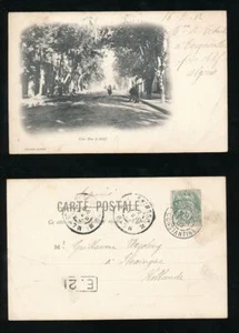 FRENCH COLONIES CONSTANTINE 1902 EARLY UB PPC TOCQUEVILLE RUE SETIF to HOLLAND - Picture 1 of 3
