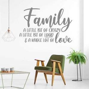 Family A Little Bit Of Crazy | Wall Quote Sticker Decal Wording Adhesive Vinyl - Picture 1 of 5