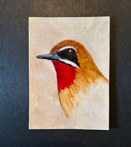 ACEO Original Acrylic Bird Painting Siberian Rubythroat Backyard Birds Audubon - Picture 1 of 5