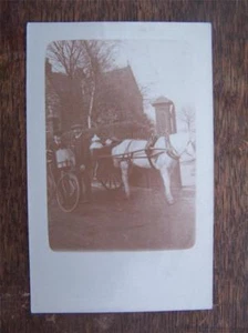 Pferde, Ponys, Esel & Karren Sozialgeschichte - Bild 1 von 1