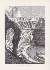 Colosseum in Rome WOODCUT around 1880 Amphitheatrum Novum Xilografia - Picture 1 of 1