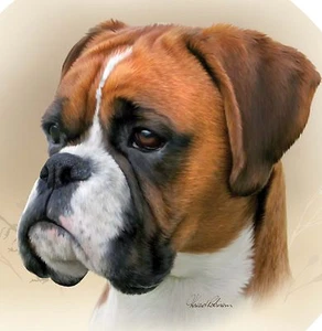 MASSANFERTIGUNG DEKOR BOXER RUND 6 ZOLL DURCHMESSER MAGNET KOSTENLOSER VERSAND - Bild 1 von 1