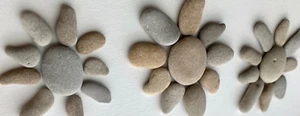 Fiore margherita sole ragno rocce pietra spiaggia naturale giardino arte insegna artigianato S3 USA - Foto 1 di 13