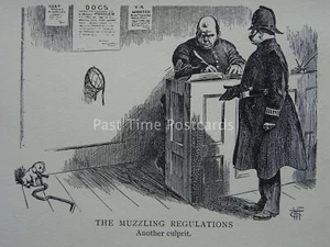 Police & Law POLICEMEN IN STATION, PUPPY DOG & MUZZLING REGULATION c1905 Cartoon - Picture 1 of 2
