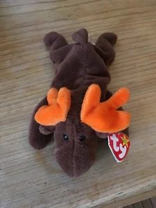 Original Ty Beanie Baby Chocolate Style 4015 Moose 3rd Gen HT, Very Rare - Picture 1 of 5