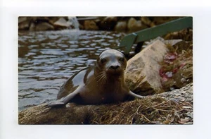 Postal de West Brewster MA 1968, uno de los sellos de puerto entrenados - Imagen 1 de 3