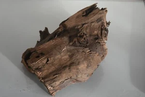 Real Structured Half Open Aquarium Bog Wood SHOBWM Suitable For Fish Aquariums - Picture 1 of 3