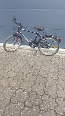 Kinder-Fahrrad 20 Zoll, Pegasus, Torpedo 5-Gang - Bild 1 von 4