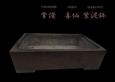 Japanese Bonsai pot TOKONAME SHIDEI Unglazed Rectangular shape Large W38cm KISEN - Image 1 of 4