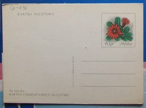Polonia. Postal #436 CACTUS 1970. - Imagen 1 de 1