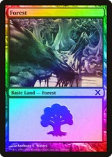 Forest (Version 380) FOIL 10th Edition PLD Basic Land MAGIC MTG CARD ABUGames