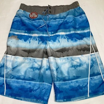 Zeroxposur Niños Niños Bañador Board Shorts Calzoncillos Forrados Talla XL (18-20) Foto 1 de 4