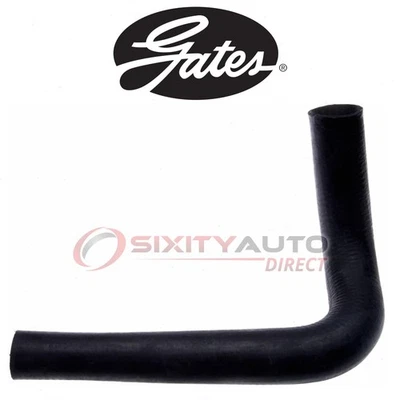 Gates Lower Radiator Coolant Hose for 1979 Ford Mustang 2.3L L4 - Antifreeze ba Foto 1 de 4