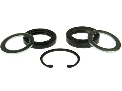 For 1975-1978 GMC P35 Steering Gear Pitman Shaft Seal Kit 47629KMJV 1976 1977 Foto 1 de 2