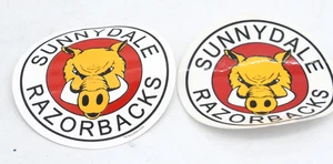 Buffy Vampire Slayer Sunnydale High Razorback Sticker 21 Century Fox TV Original - Picture 1 of 4