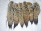 #1 Quality XL Tanned Western Coyote Tails/Crafts/Real USA Fur Tail/Harley parts
