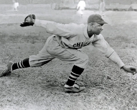 Chicago American Giants BILL FOSTER Glossy 8x10 Photo Negro League Poster Print Cover