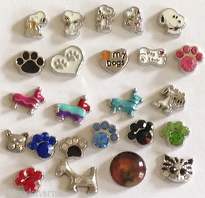 ❤️FLOATING LOCKET CHARMS DOGS ~ FIT Memory OWL ~U CHOOSE ~ COMBINED SHIPPING ❤️ - Picture 1 of 27