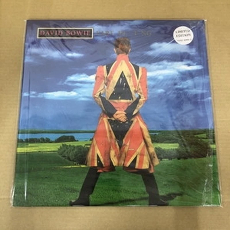 David Bowie/Earthling 74321449441 Used LP Foto 1 de 1