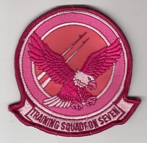 VT-7 EAGLES PINK COMMAND CHEST PATCH - Picture 1 of 1