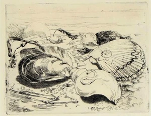 Carl Torsten Holmstrom (1884-1946) 1930er MUSCHEL SKANDINAVISCHE RADIERUNG 1932 - Bild 1 von 8