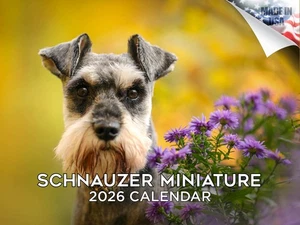Miniatur Schnauzer Kalender 2026 12x18 Made in USA - Bild 1 von 7