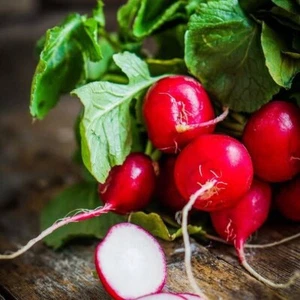 RADISH Cherry Belle 100 Seeds HEIRLOOM - Picture 1 of 1