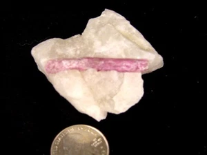 BUTW Natural Brazilian Pink Tourmaline in Quartz Lapidary Specimen 7402K - Imagen 1 de 3