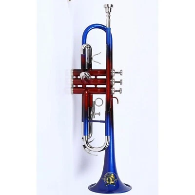 Trompeta SONIDO SAGA tono Bb incluye boquilla y estuche de transporte (multicolor) Foto 1 de 3