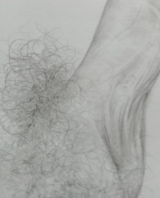 Hand Drawn A4 Anatomical Tonal Pencil Drawing NSFW Erect Penis Male Genitals - Image 1 of 4