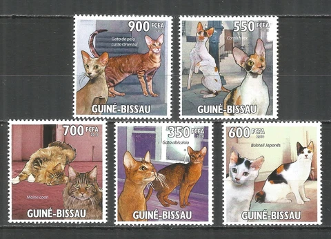 Guinea Bissau 2010 year, mint MNH (**) cats Cover