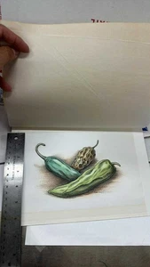 impresión botánica ilustración por peter siu - Imagen 1 de 5