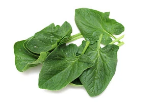 BULK Baby Spinach Seeds 1 OUNCE ITALIAN Matador 3400+ SEEDS.Grow in 37 days - Picture 1 of 1