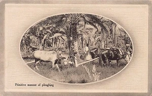 Iraq - Primitive manner of ploughing - Publ. Abdulaly & Brothers - Picture 1 of 2