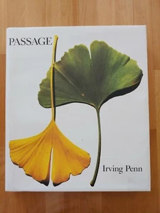 Passage a work record Irving Penn HCDJ 1991 photography - Picture 1 of 8