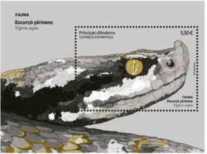 ANDORRA ESPAÑOLA 2024 - EDIFIL 561 - FAUNA VÍBORA PIRENAICA VIPERA ASPIS - NUEVO - Imagen 1 de 1