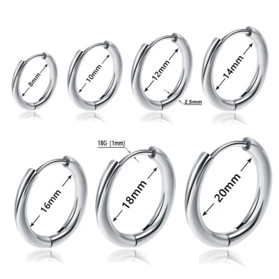 10 PIEZAS Aro Pila Nariz Oreja Bisagras Tragus Anillo Tabique Clicker Acero Quirúrgico  Foto 1 de 4